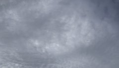 <b>最低气温24</b>