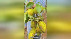 要耐心、勤奋和不竭的进修