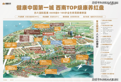 <b>风取光来做设想</b>