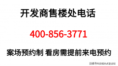 续的购房决策供给无力根据